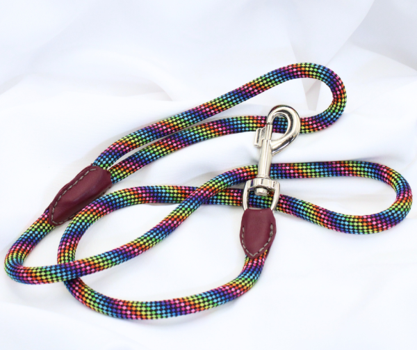 Führleine, 1,20 m, L